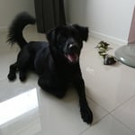 Funded Trader holidayyo Funded Trader holidayyo