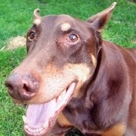 Funded Trader BBWins