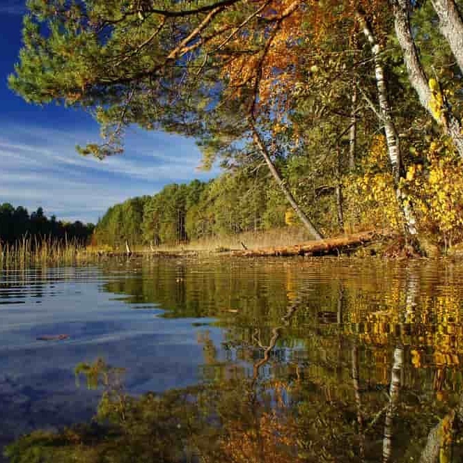 Funded Trader Cvtnxber