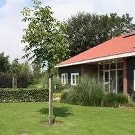 Funded Trader Vocking