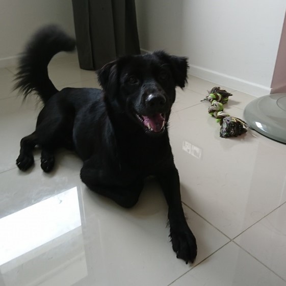 Funded Trader holidayyo