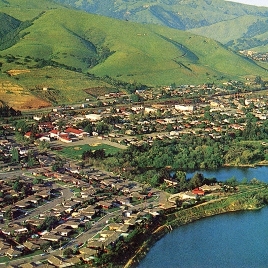 Funded Trader purplelily