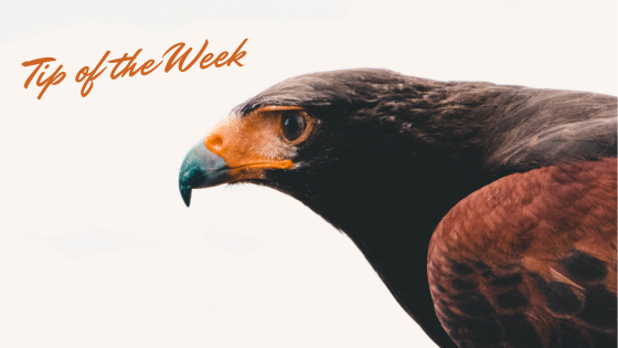 Tip of the Week_ (6)