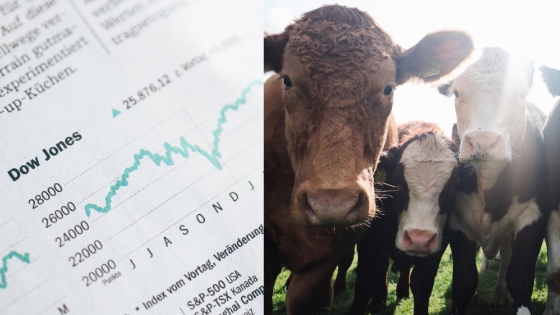 Stocks vs. Futures: A Guide for Retail Traders